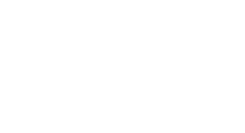 fox3 b c45 233x300 1